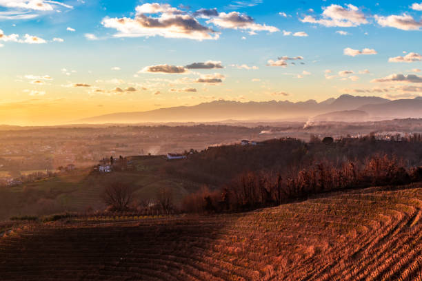 istock Colorful sunset in the italian vineyards 1183720214