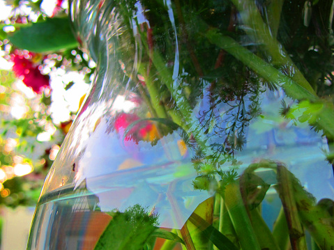 Reflections On A Vase With A Flowers Bouquet