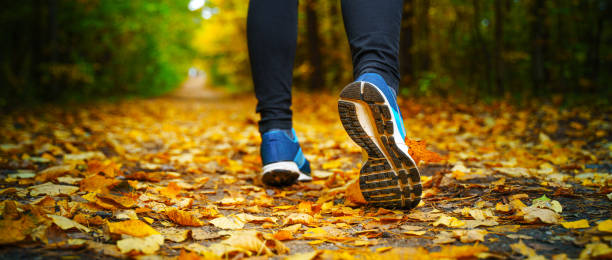 istock Run in the autumn forest 1183721956