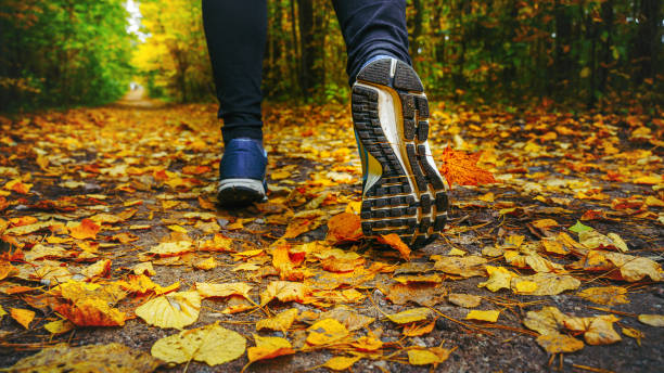 istock Run in the autumn forest 1183722090