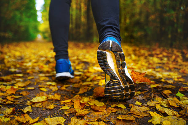 istock Run in the autumn forest 1183722159