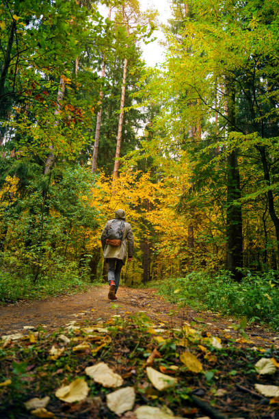 istock Man hiking in the autumn forest. 1183722164