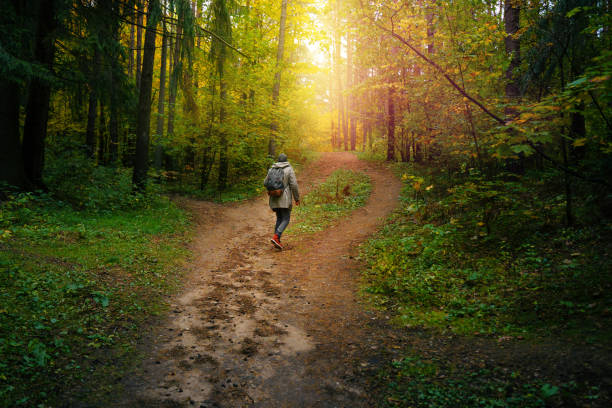 istock Man hiking in the autumn forest. 1183722173