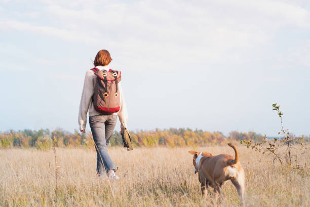 Woman with a dog in an autumn fields.