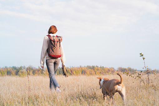 Female person walking her dog out of town in autumn in freedom, autumn mood
