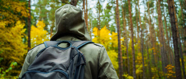 istock Man hiking in the autumn forest. 1183723184