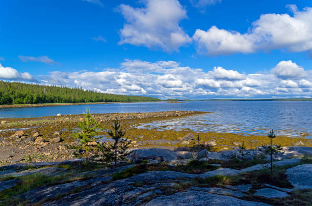 The littoral zone at low tide. The shore of the White Sea. Kandalaksha Gulf, Karelia, Russia, end of June.
