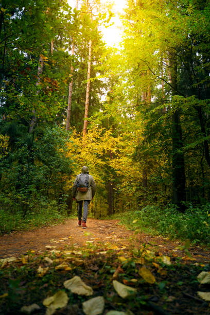 istock Man hiking in the autumn forest. 1183723435