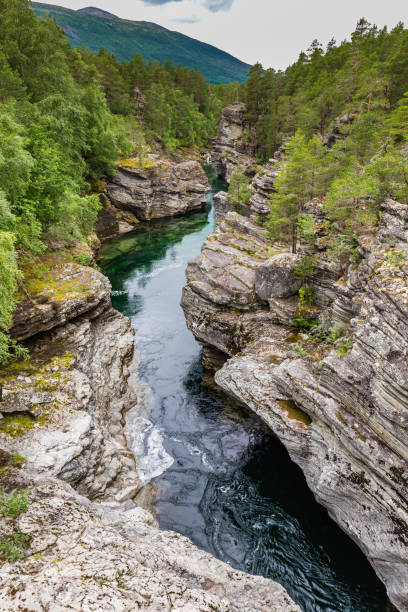 istock River Driva, Oppdal, Trondelag in Norway 1183726100