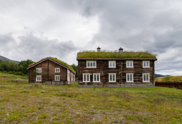 Traditional wooden houses in Norway Traditional wooden houses with roof covered with grass, plants and flowers in Oppdal in Norway, Scandinavia oppdal stock pictures, royalty-free photos & images