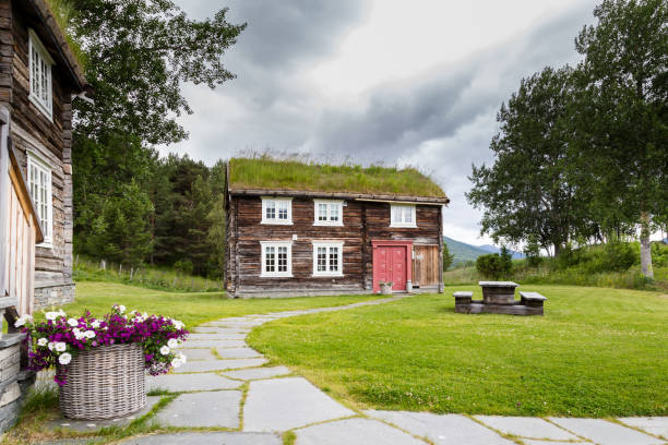 Traditional wooden houses in Norway Traditional wooden houses with roof covered with grass, plants and flowers in Oppdal in Norway, Scandinavia oppdal stock pictures, royalty-free photos & images