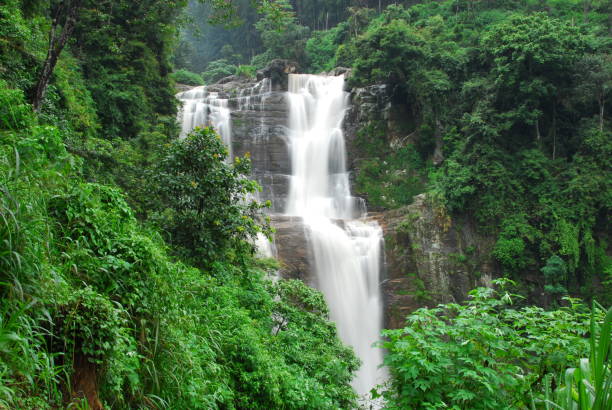 Nuwara Eliya Waterfalls  nuwara eliya stock pictures, royalty-free photos & images