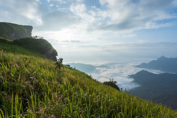 istock Sun rises Mountain at phu chi fa cliff chiang rai Thailand. 1183730452