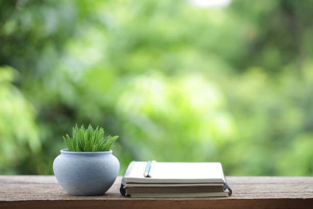 istock Diary notebook with pencil and blue plant pot on wooden table 1183731655
