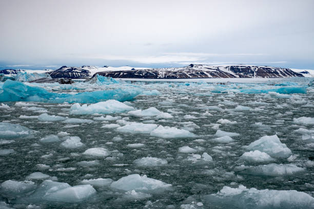 istock Vast Arctic landscapes 1183733314