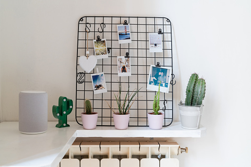Cozy corner with printed photos, cactus plant and a music speaker