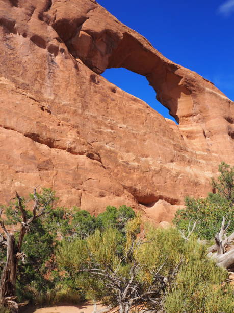 istock Skyline arch, Arches National Park, Utah, USA 1183735185