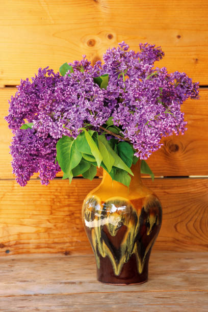 istock lilac branches in a vase 1183735425