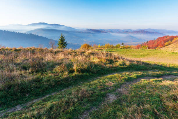 istock beautiful countryside in the morning 1183736664