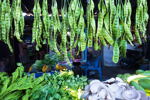 Fresh Bitter Bean or Parkia speciosa hanging for sale at a wet market in Narathiwat, Southern Thailand.