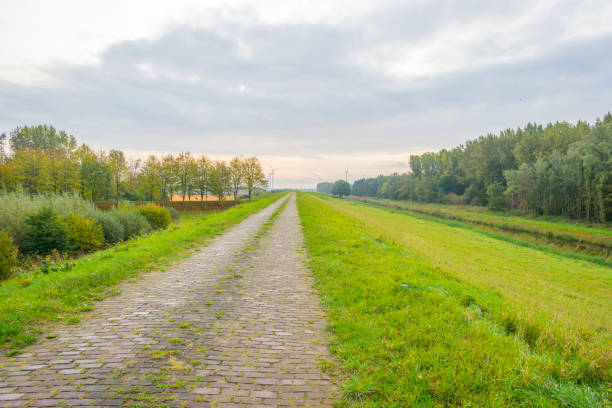 istock Green dike along a canal in a rural area at fall 1183737625