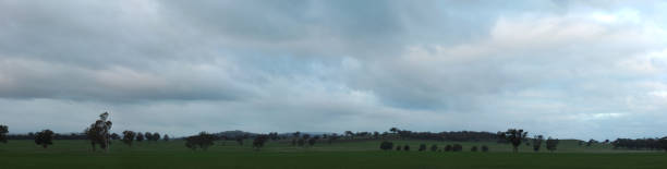 istock Panoramic view of large open farm fields and stretching rain filled cloudy overcast skies over lush green sheep pasture paddocks, rural Victoria, Australia 1183737757