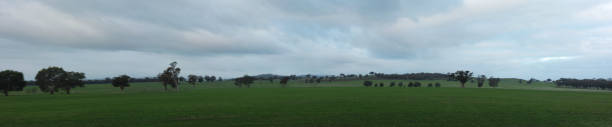 istock Panoramic view of large open farm fields and stretching rain filled cloudy overcast skies over lush green sheep pasture paddocks, rural Victoria, Australia 1183737883