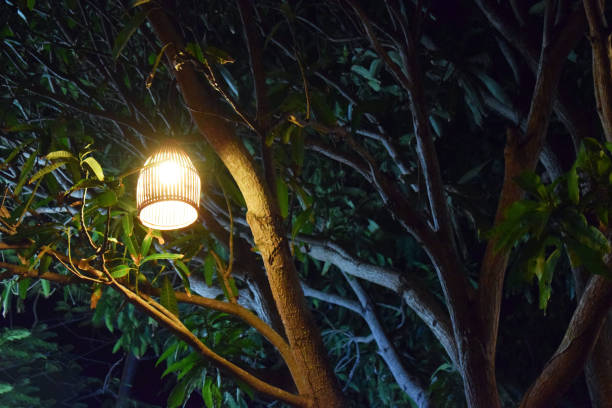 istock Night lantern in the Park. 1183742794