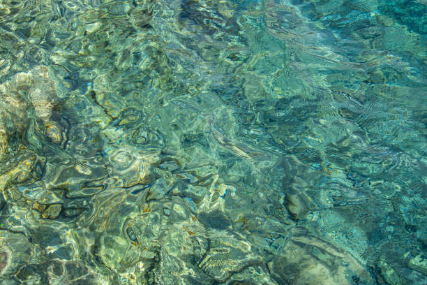 istock An abstract image produced by sea water passing over shallow rocks 1183747415