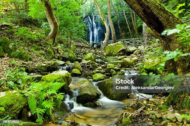 Versteckte Regenwaldwasserfall Stockfoto und mehr Bilder von Bach - Bach, Berg, Bewegungsunschärfe