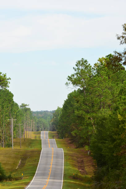 istock Two-lane road in hilly terrain through forest 1183749192