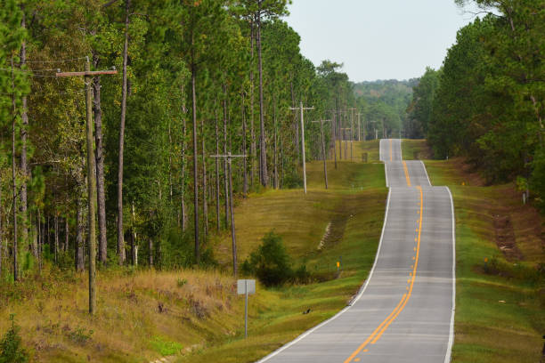 istock Two-lane paved road through hilly rural terrain in pine forest 1183749256