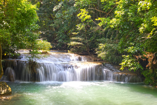 fleuve et petits pas des chutes d'eau d'erawan - waterfall tropical rainforest erawan thailand photos et images de collection