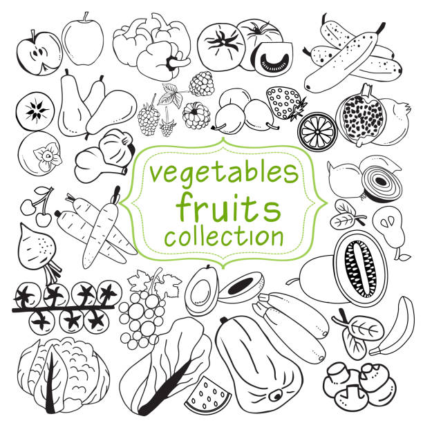 collection of doodle organic fruits and vegetables vector art illustration