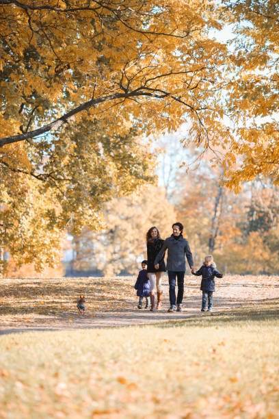 istock Family walk in autumn park 1183750740