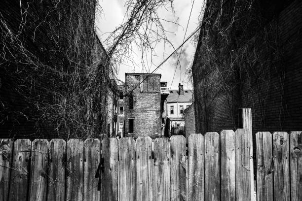 Diagonal park path with fence background hd