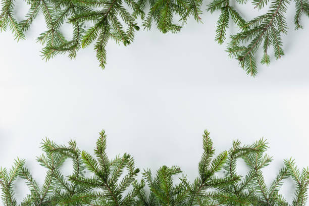 istock branches on a white table. Christmas and New Year concept. Coffee art. Flat lay, top view. 1183754429