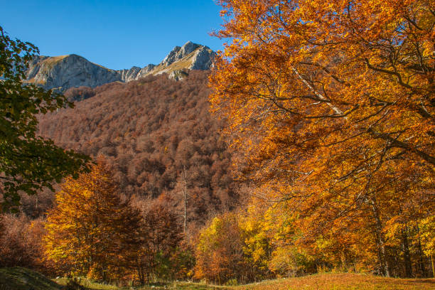 istock Autumn view of Monte Terminillo, a mountain massif, whose highest peak reaches 2217.13 m of altitude 1183754483