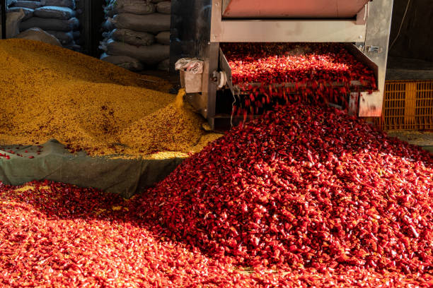 기계가 고추를 가공하고 있습니다. - pepper bell pepper market spice 뉴스 사진 이미지