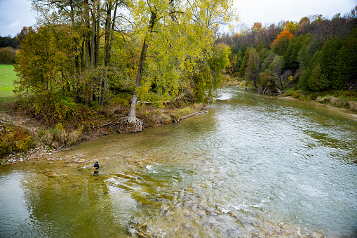 A teen fly-fisherman casting on a trout stream