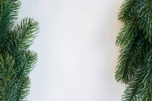 istock close up top view of white mockup background texture with pine branches tree leaves and copy space for greeting card and ads banner in merry christmas celebration design concept 1183757857
