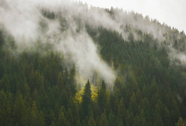 istock Beautiful autumn scenery in the mountains. Carpathian Mountains. 1183759014