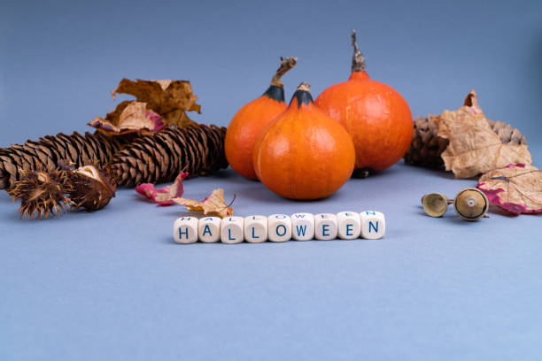 Halloween concept with pumpkin, colorful leaves, fir cones and acorns on gray background with copy space