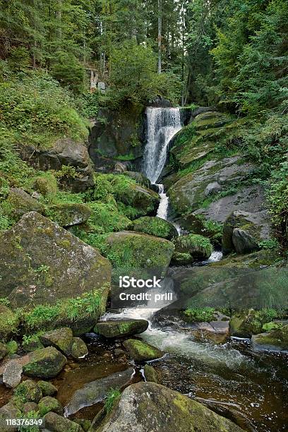 Photo libre de droit de Triberg Cascades Dans La Forêt Noire banque d'images et plus d'images libres de droit de Allemagne - Allemagne, Arbre, Bade-Wurtemberg