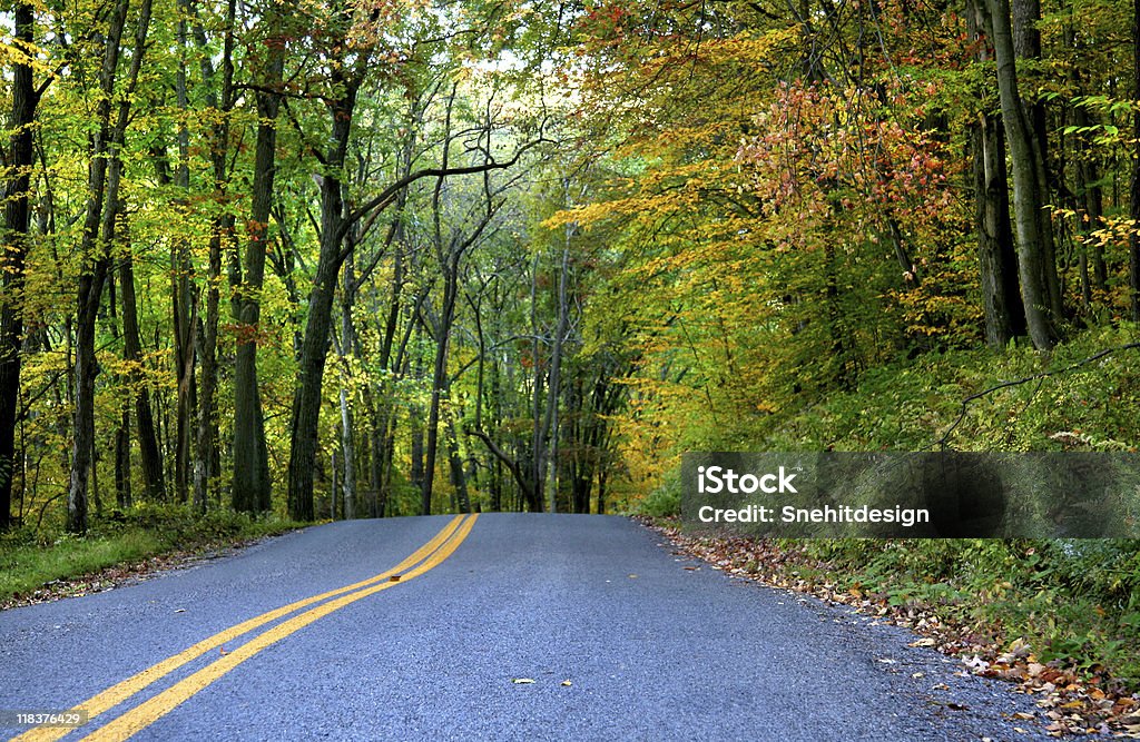 Осенний drive - Стоковые фото Без людей роялти-фри