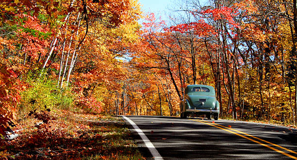 Autumn drive stock photo