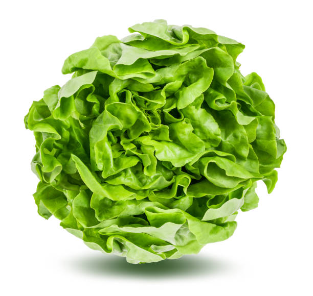 istock Lettuce isolated on white background with clipping path 1183766954