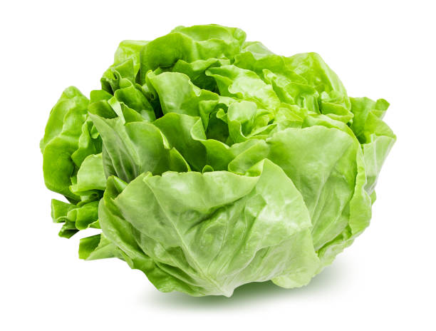 istock Lettuce isolated on white background with clipping path 1183767036