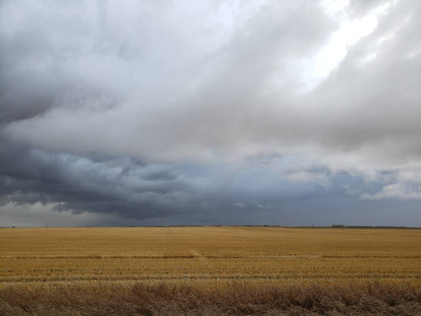 istock Storm clouds over a golden agriculture field 1183767201