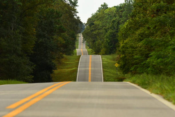 Paved road following the hilly topography as it stretches off into the forested horizon. Photo taken in Northwest Florida. Nikon D7200 with Nikon 200mm macro lens.